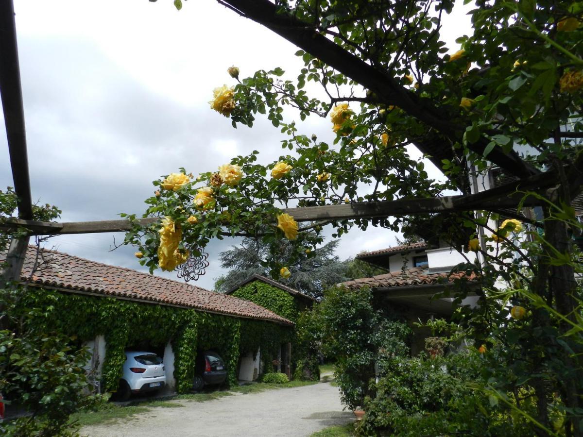 Mamota B&B Vesime Exterior photo